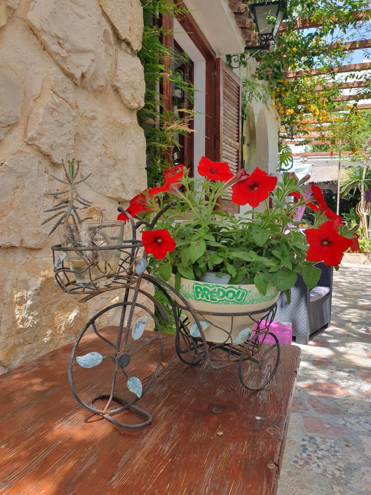 Hostal Mi Campana Denia Exteriér fotografie
