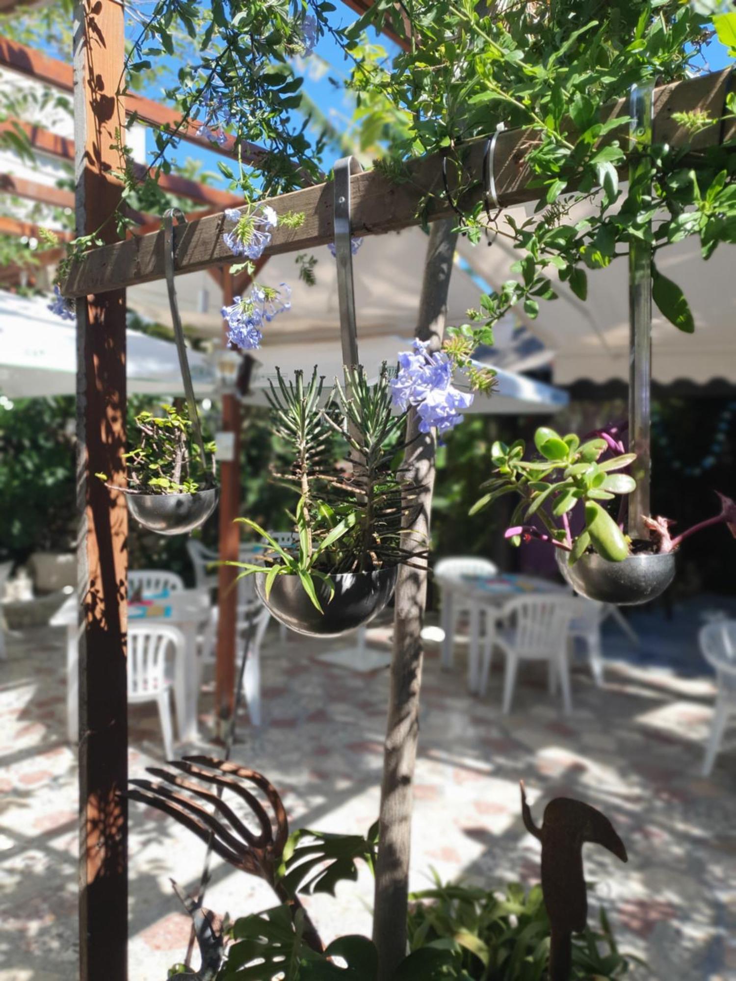 Hostal Mi Campana Denia Exteriér fotografie