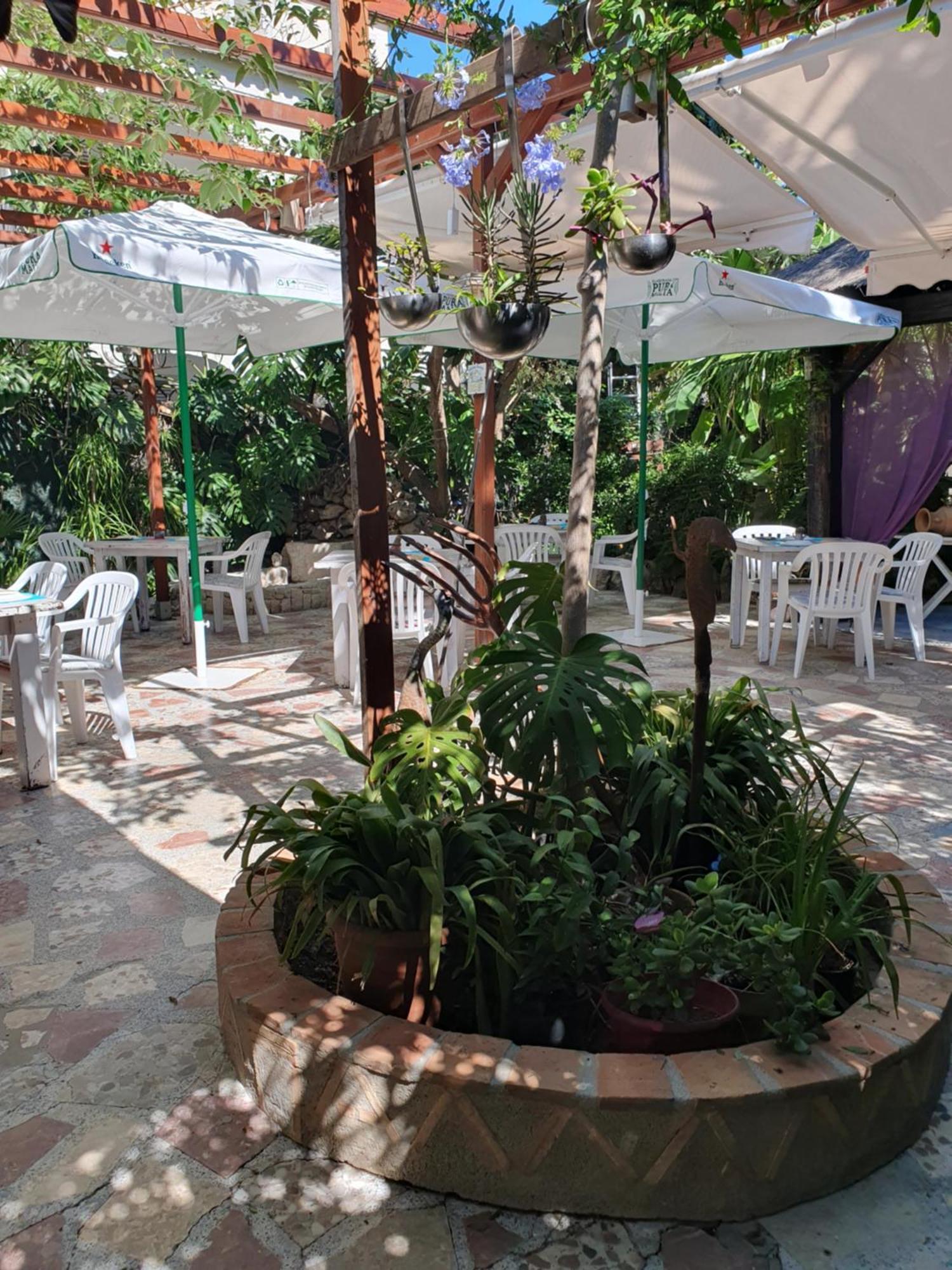 Hostal Mi Campana Denia Exteriér fotografie